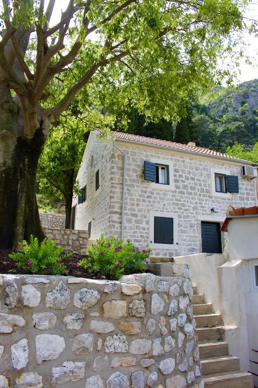 Villa Mima Kotor Extérieur photo