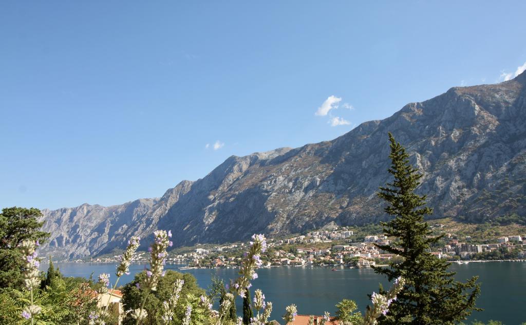 Villa Mima Kotor Extérieur photo